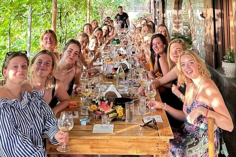 Visite guidée des vignobles de Berat avec transferts et dégustations