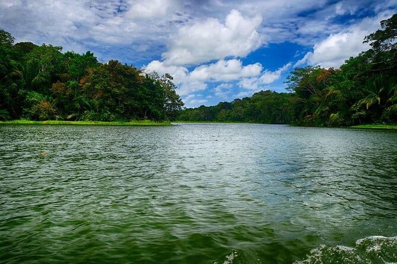 Expédition de safari animalier sur le lac Gatun et écluses du canal Miraflores