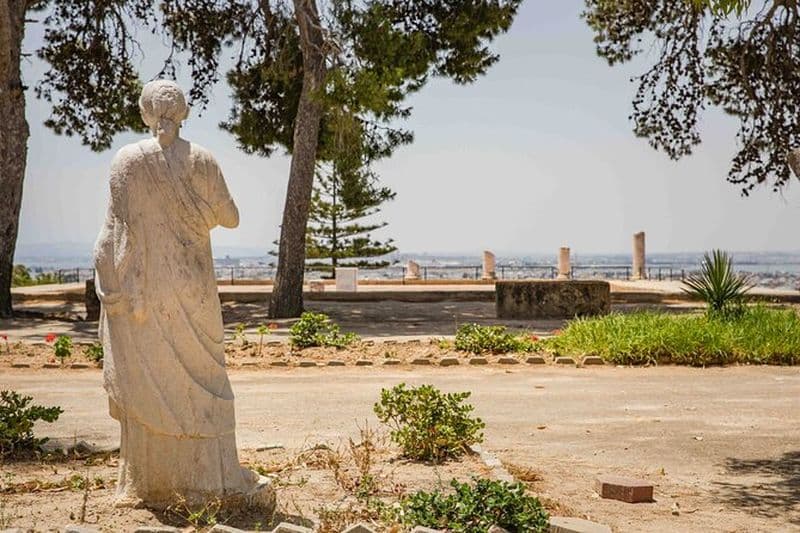 Visite privée à pied du site archéologique de Carthage en Tunisie