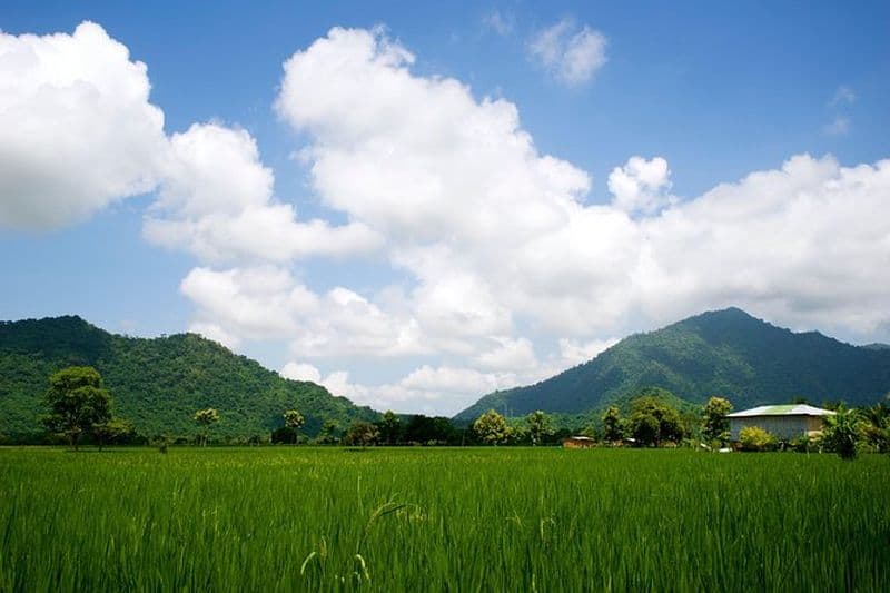 Billet Excursion d'une journée en petit groupe à Guayaquil et à la ferme de cacao