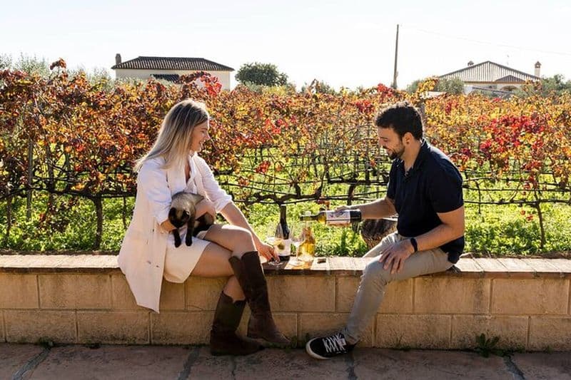 Billet Malaga : Visite de vignobles et de caves avec 6 Top Vins et tapas