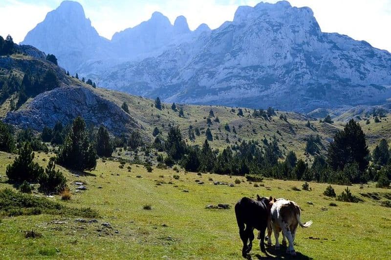 Billet Visite privée en 4x4 en Bosnie