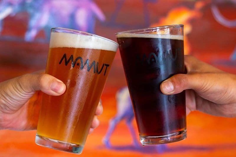 Visite de la bière artisanale mexicaine au départ de San Diego