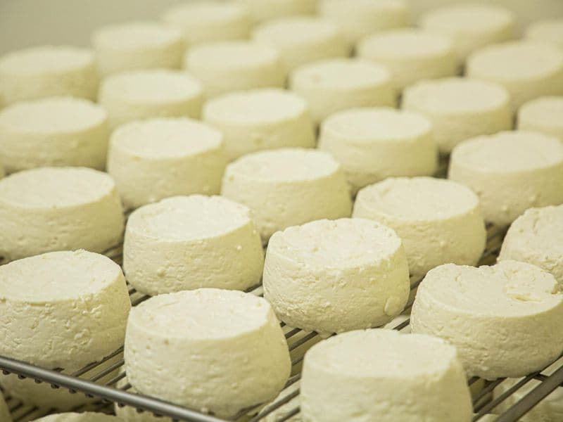 Billet Découvrez la fabrication du fromage de chèvre