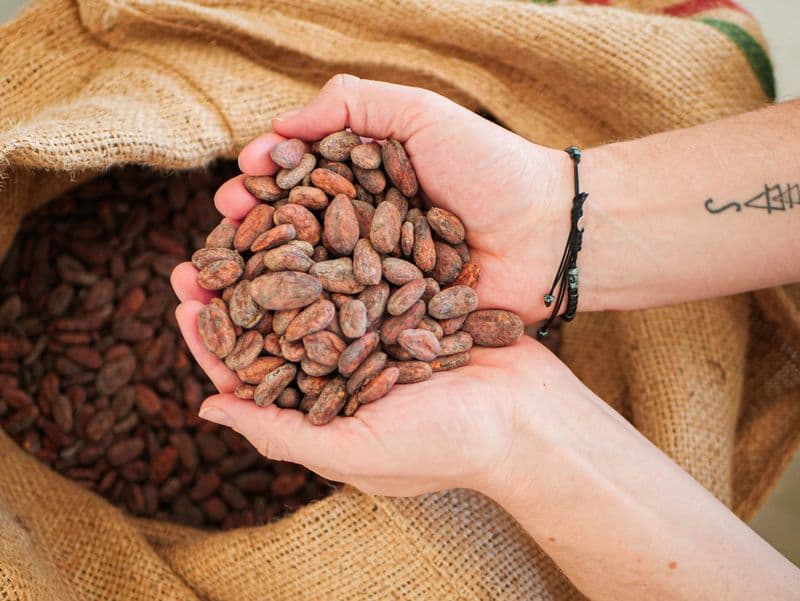 Apprenez à déguster le chocolat