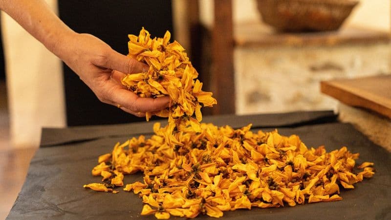 Billet Fabriquez votre aquarelle