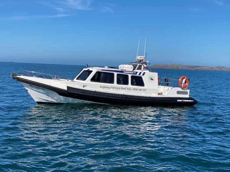 Billet Île d'Anglesey : Tour en bateau à la découverte de l'île