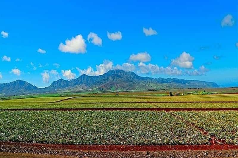 Billet Depuis Kona : L'expérience de l'île du Grand Cercle d'Oahu
