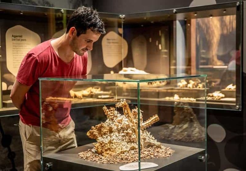 Billet Mount Isa : Visite guidée du centre de découverte des fossiles de Riversleigh