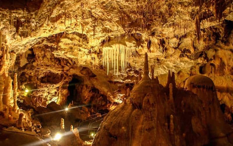 Billet La grotte de l'ours : 1 journée de visite à la journée en voiture climatisée depuis Oradea