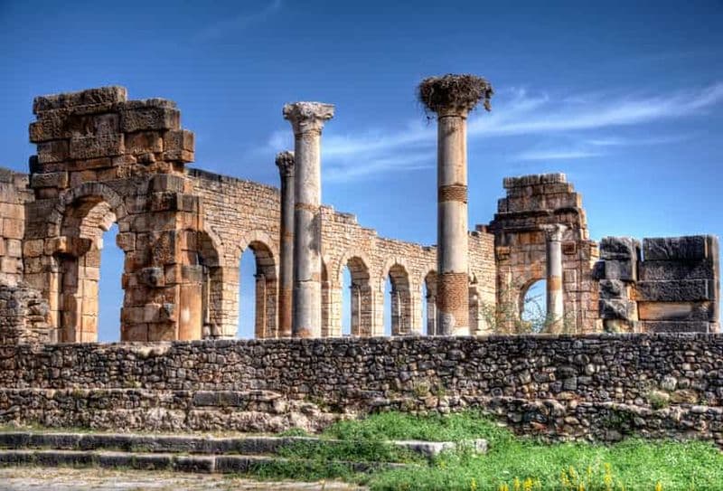 Billet Excursion privée à Volubilis, Moulay Idriss et Meknès