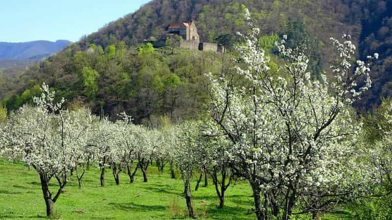 Billet SB13 - Sibiu : Excursion privée d'une journée dans les villages de Transylvanie