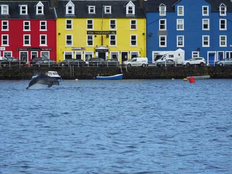Billet Île de Mull : Promenade guidée vers le phare de Tobermory