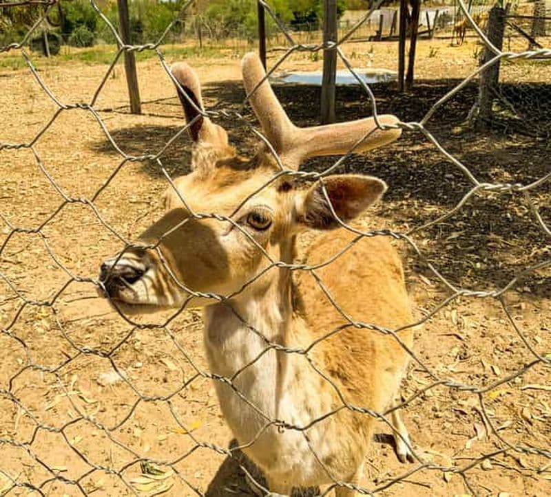 Billet Tunisie : forfait familial parc Friguia