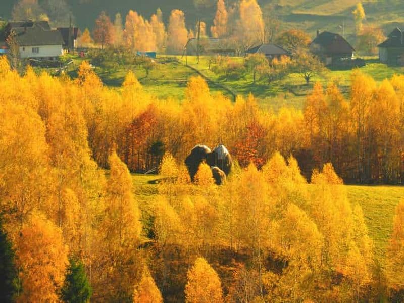 Billet Au départ de Brasov : excursion d'une journée dans les villages de montagne roumains