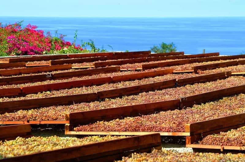 Billet Salina : dégustation de vins et brunch dans un domaine à Malfa