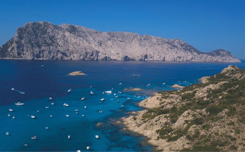 Billet Au départ d'Olbia : excursion à Tavolara, Molara et apéritif