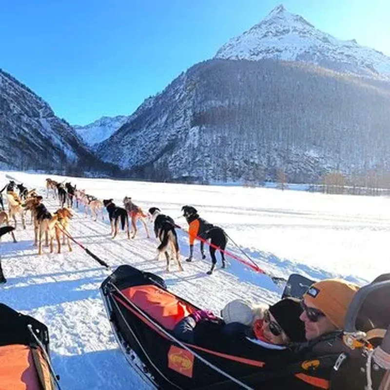 Billet Randonnée en Chiens de Traîneau à Bessans en Haute-Maurienne