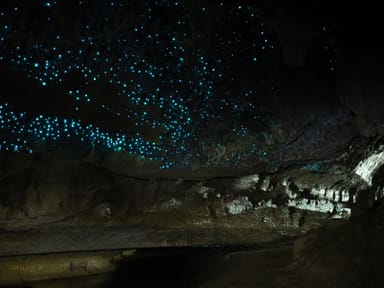 Waitomo Grotten Visiter les Grottes de Waitomo : billets, prix, horaires