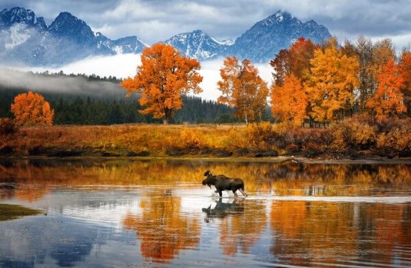 superbes-endroits-couleurs-automne-monde-8-600x392.jpg