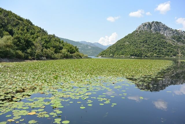 [Image: lac-skadar-shkodra-montenegro.jpg]