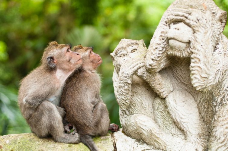 deux petits singe sui regarde deux autres singes en statut. Cette foret représente la foret des singes d'ubud, une des choses incontournables à faire à Bali